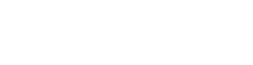 LearnSkin Logo